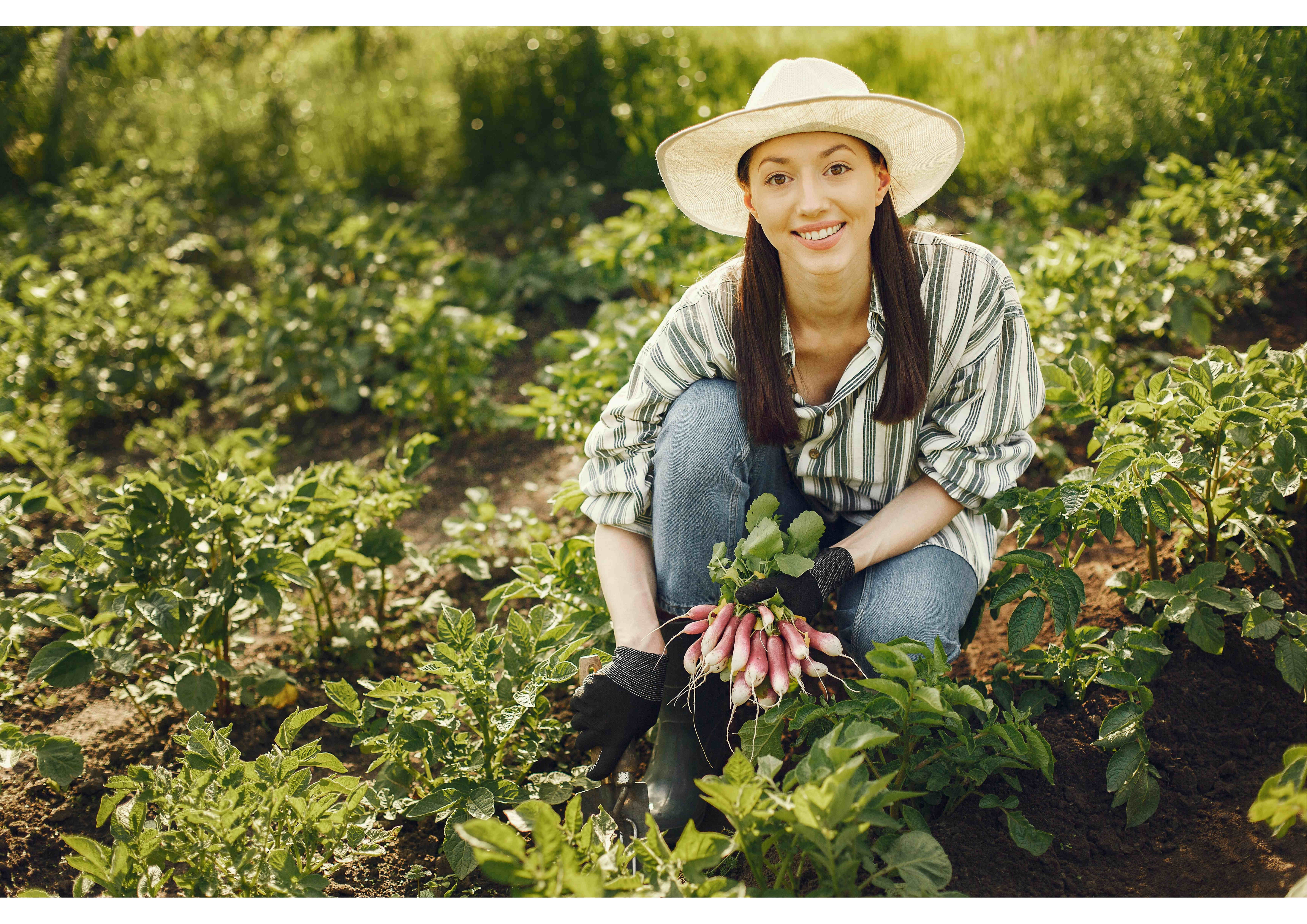 Grow Your Own Food for Beginners