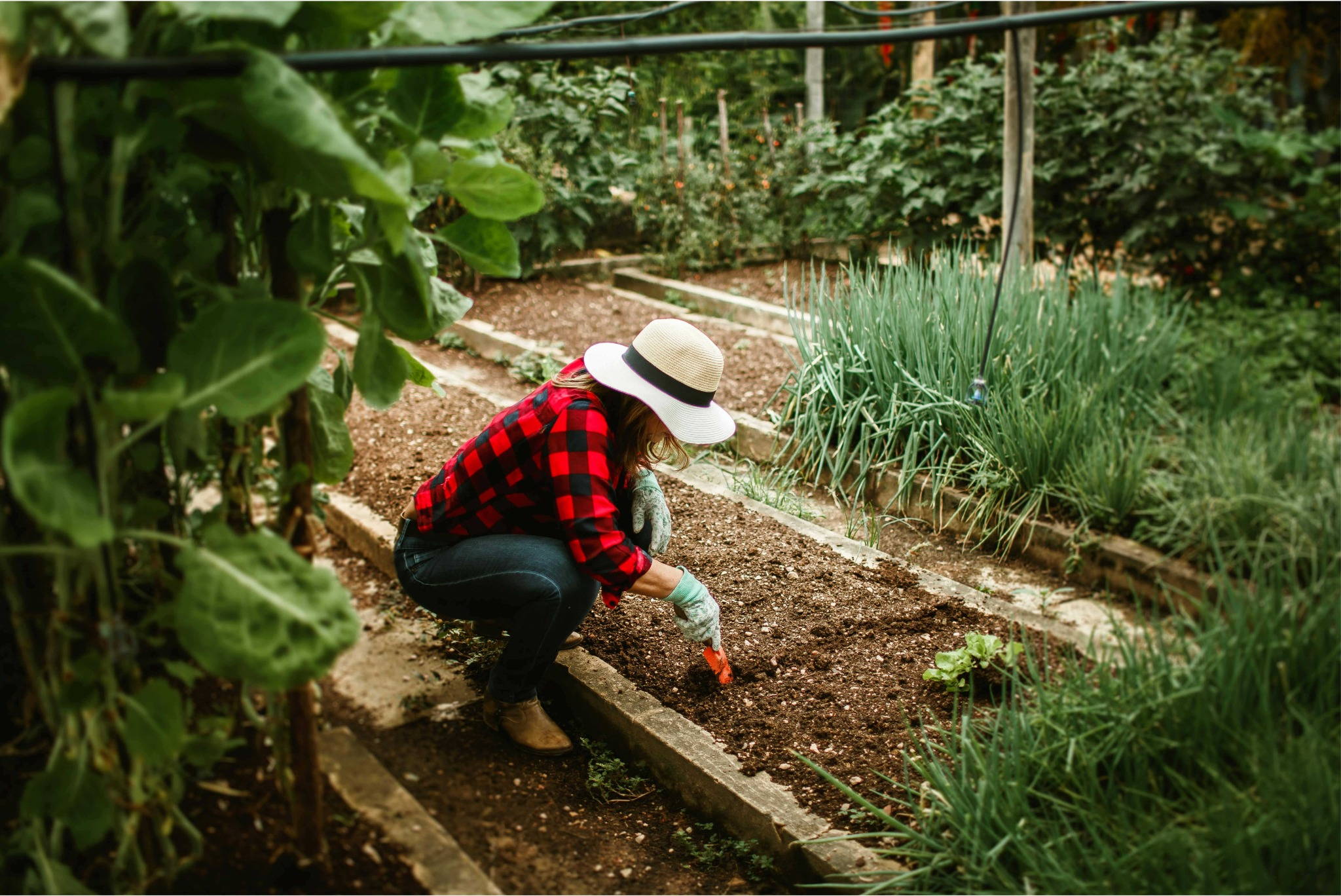 Abundance by Design
